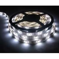 LED 5050 White