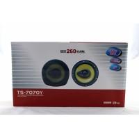Автоколонки TS 7070 max 260w 16