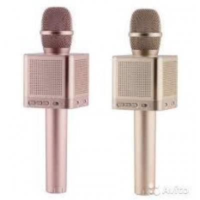 Купить Микрофон DM Karaoke Q10S