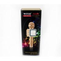 Микрофон DM Karaoke WS1818