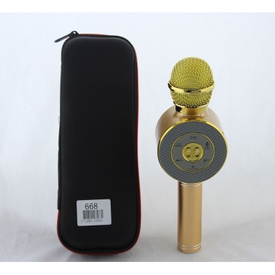 Купить Микрофон DM Karaoke WS668 + чехол