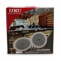 Потолочные динамики (колонки) CS 6500 Потолочные динамики (колонки) CS 6500