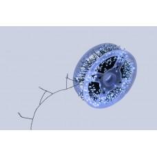 Xmas Гирлянда Мишура зеленый провод 220В пульт ДУ 8 режимов 30m 900L green wire W-1