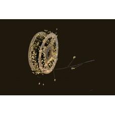 Xmas Гірлянда Мішура зелений провід 220В пульт дистанційного керування 8 режимів 50m 1500L green wire WW-1