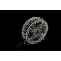 XMAS Гірлянда зелений провід таймер пульт дистанційного керування режими 6Вт 50M 220V WW-2 GREEN LINE